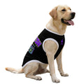 Fresh Boombox Dog Tank | Plus Size