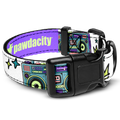 Boombox Dog Collar