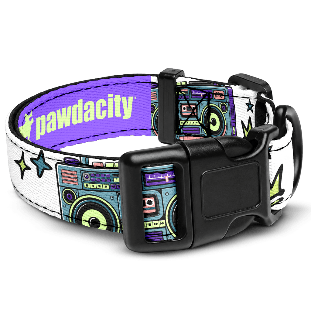 Boombox Dog Collar - Pawdacity™