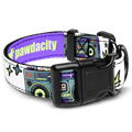 Boombox Dog Collar - Pawdacity™
