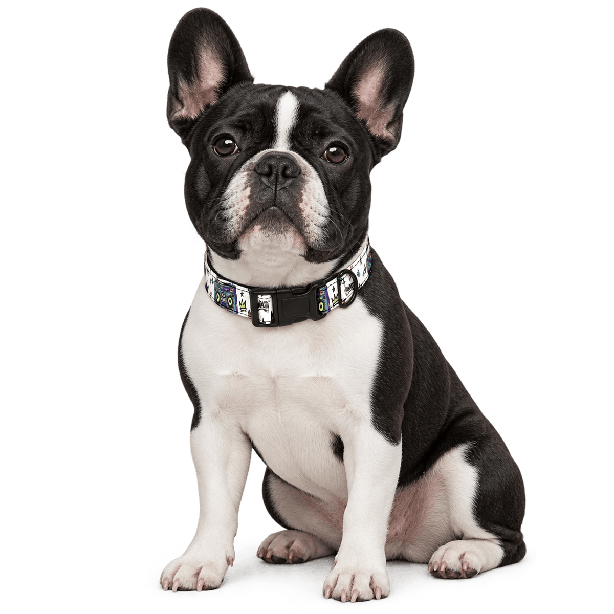 Boombox Dog Collar - Pawdacity™