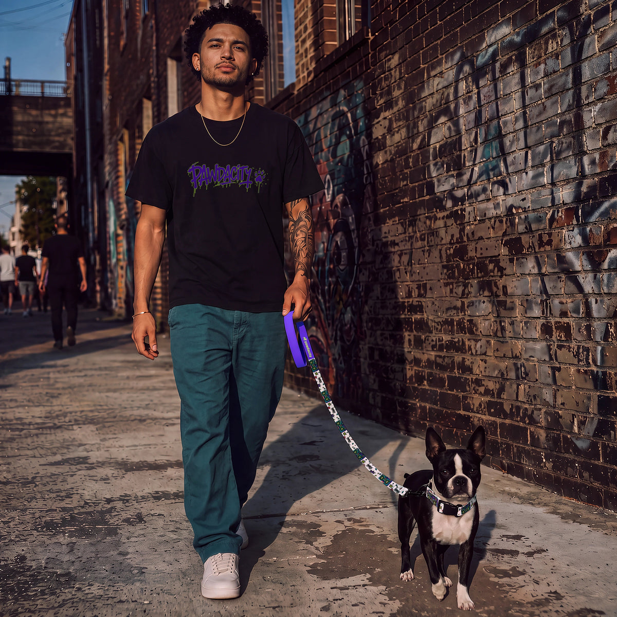 Boombox Dog Leash - Pawdacity™