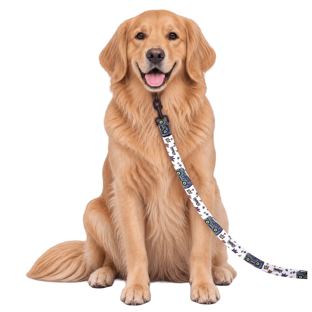 Boombox Dog Leash - Pawdacity™