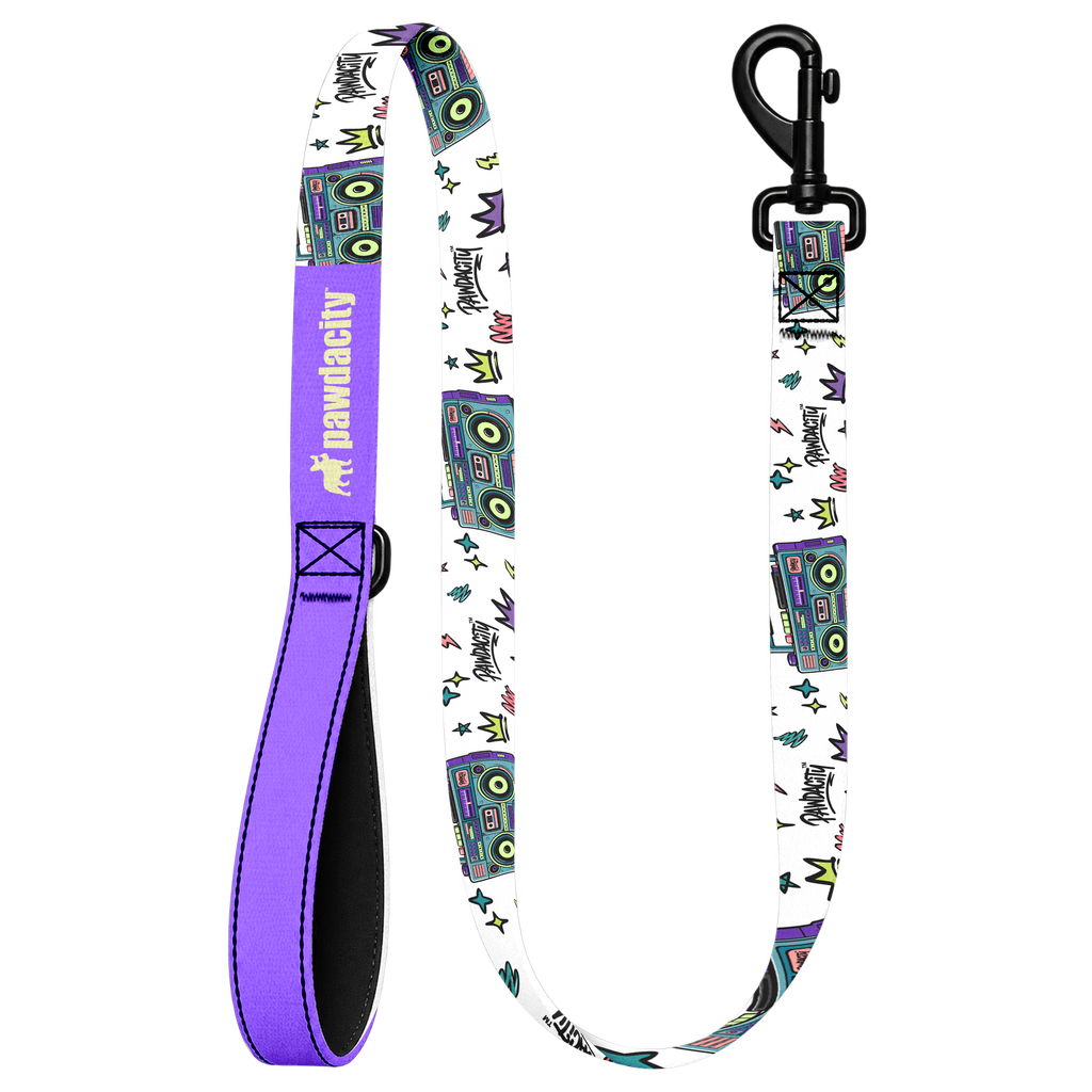 Boombox Dog Leash