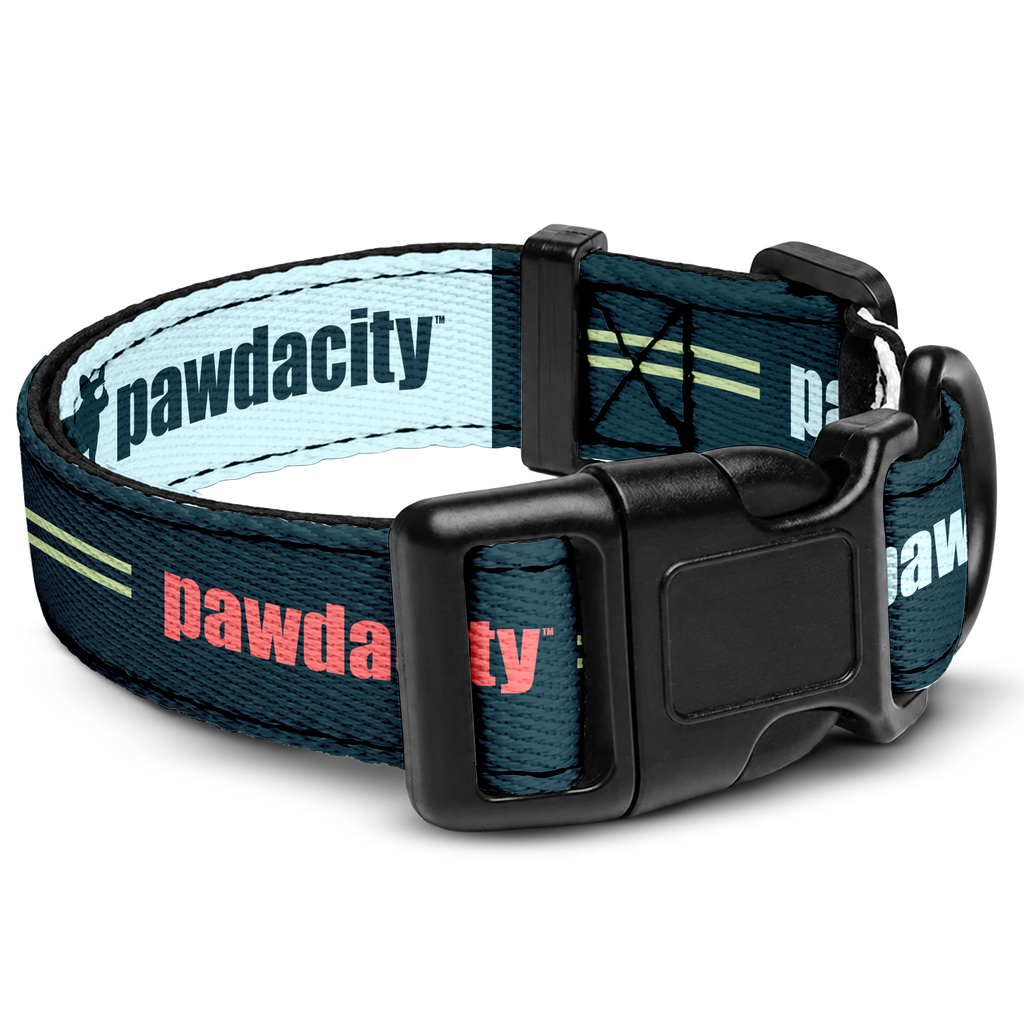 Essentials Dog Collar