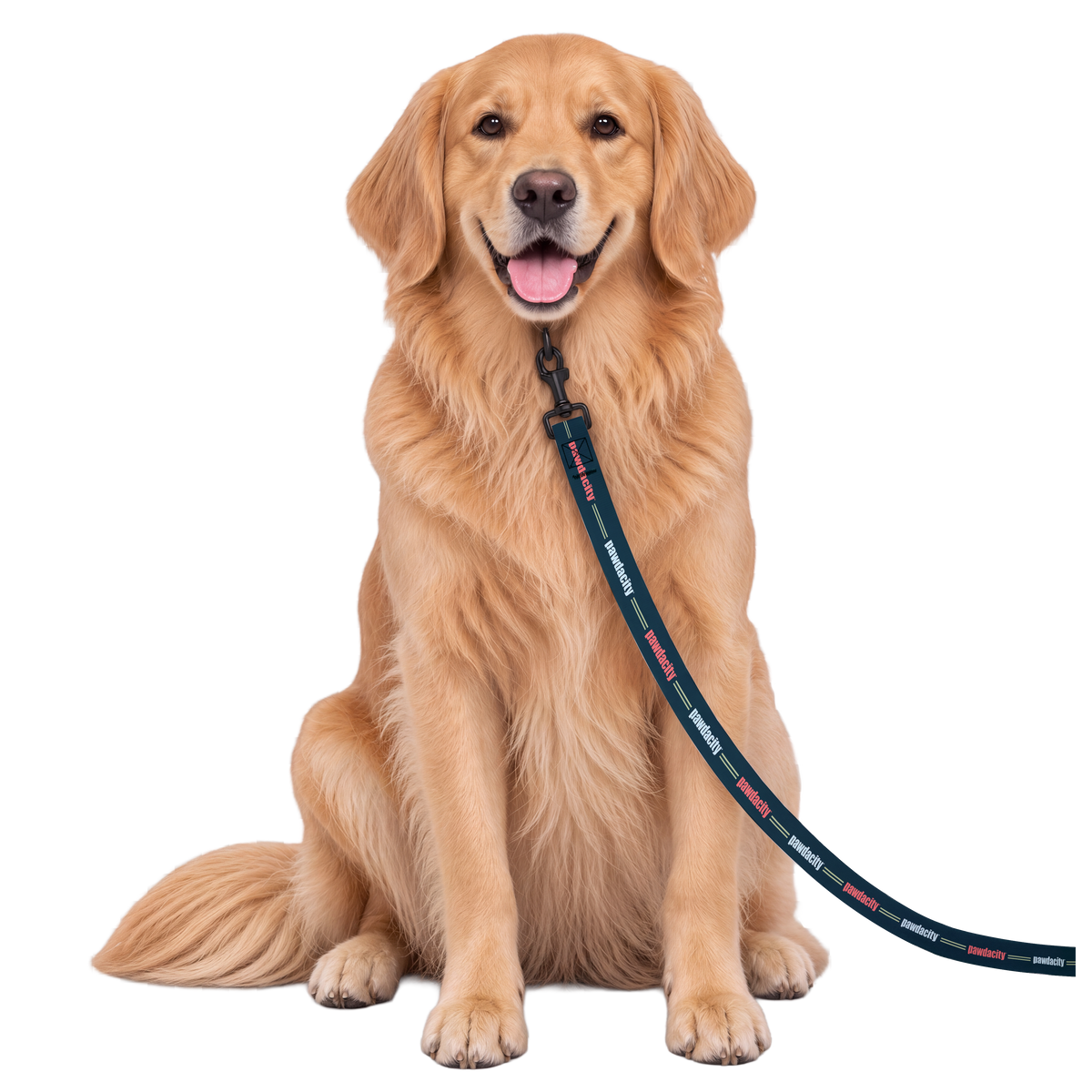 Essentials Dog Leash