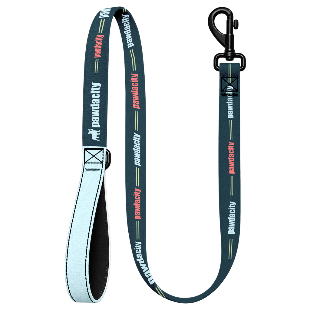 Essentials Dog Leash