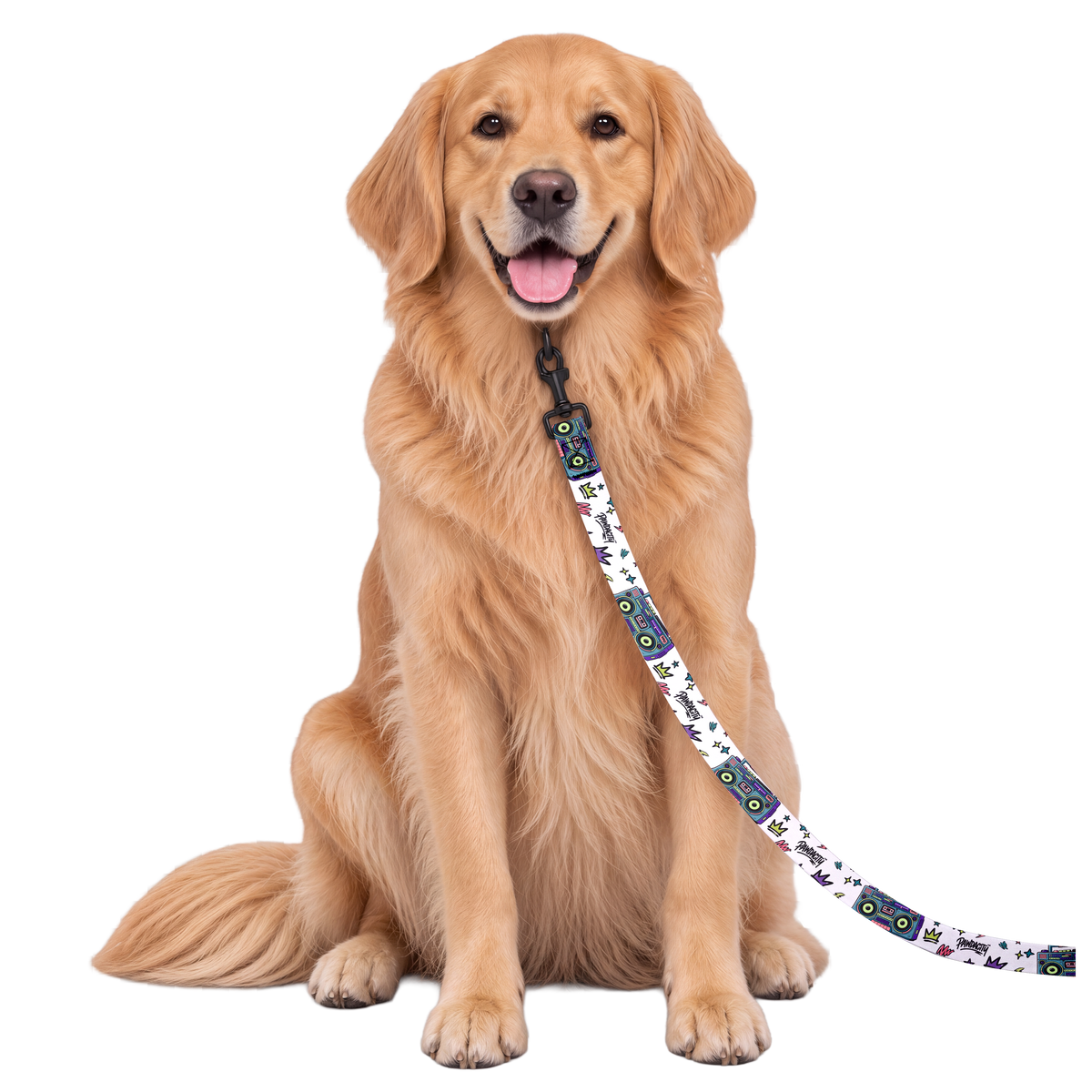 Boombox Dog Leash
