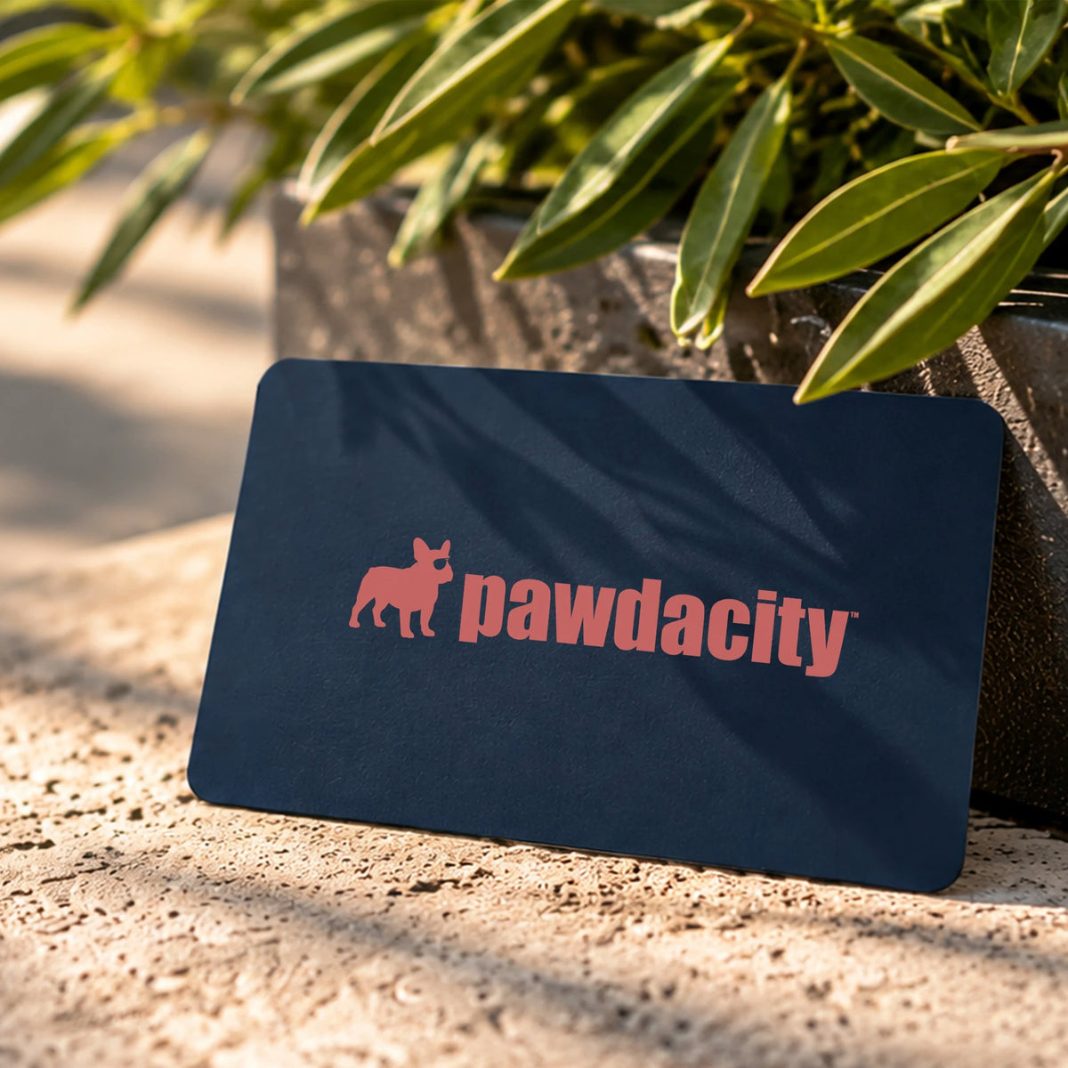 Pawdacity™ Gift Card - Pawdacity™