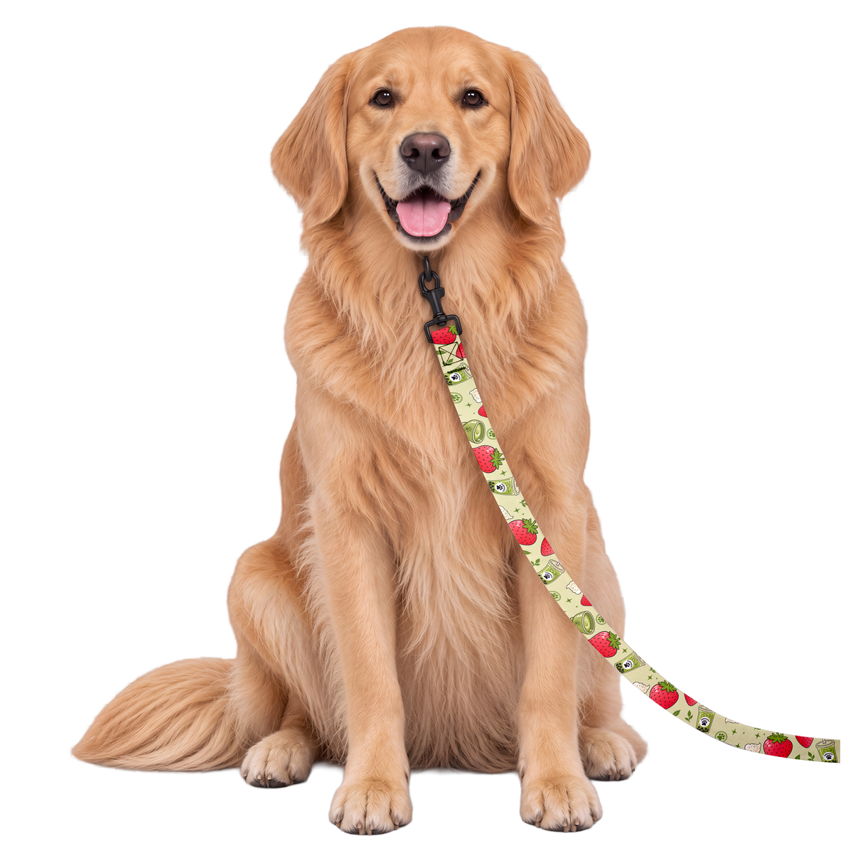 Strawberry Matcha Pet Leash
