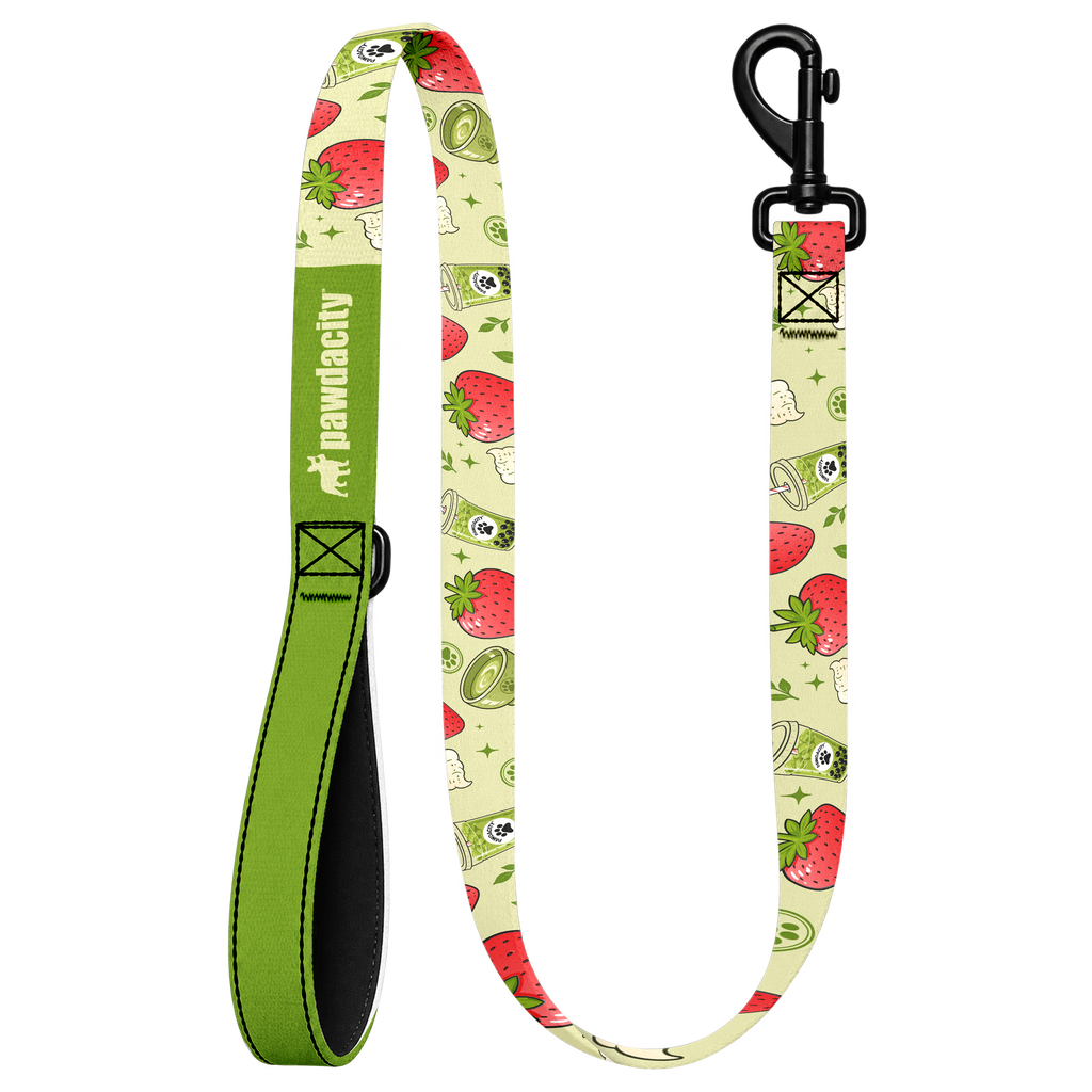 Strawberry Matcha Pet Leash